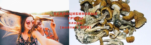 МДПВ Белокуриха