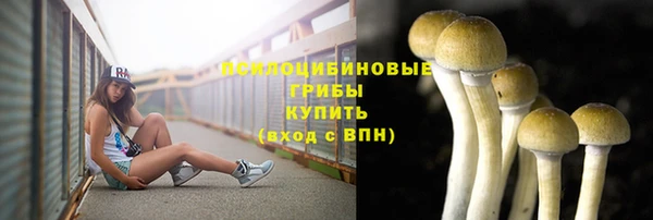 молекула духа Богородицк