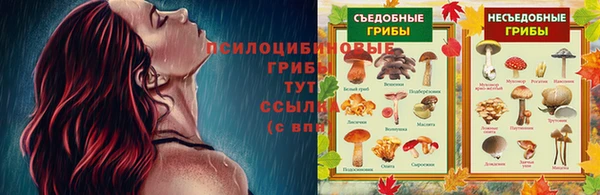 ешки Белоозёрский