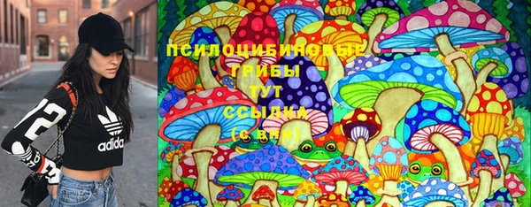 ешки Белоозёрский