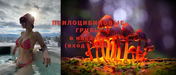 ешки Белоозёрский