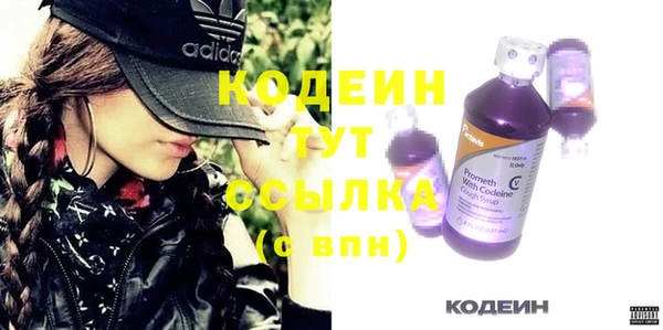 молекула духа Богородицк
