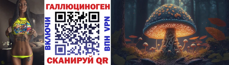 где можно купить наркотик  Горячий Ключ  Галлюциногенные грибы мицелий 