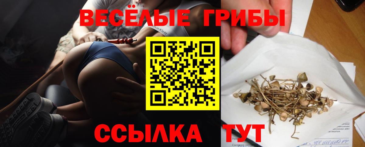 Псилоцибиновые грибы MAGIC MUSHROOMS Горячий Ключ
